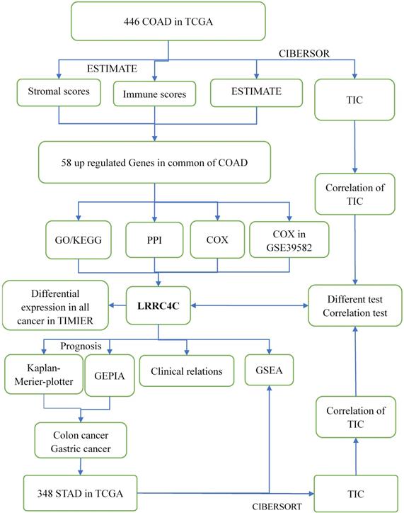 Int J Biol Sci Image