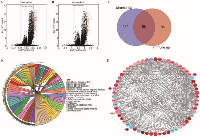 Int J Biol Sci Image