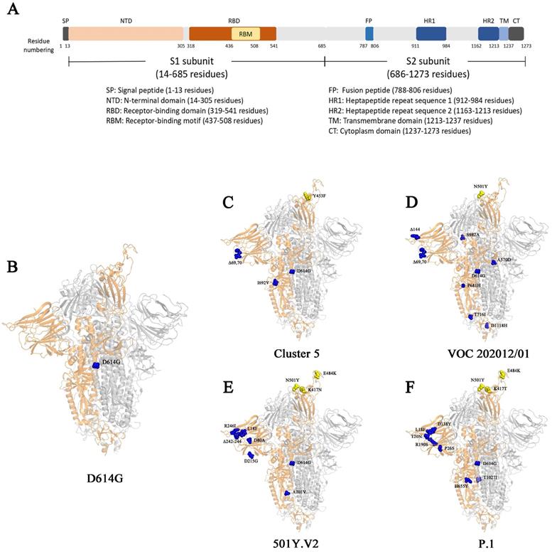 Int J Biol Sci Image