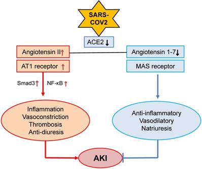 Int J Biol Sci Image