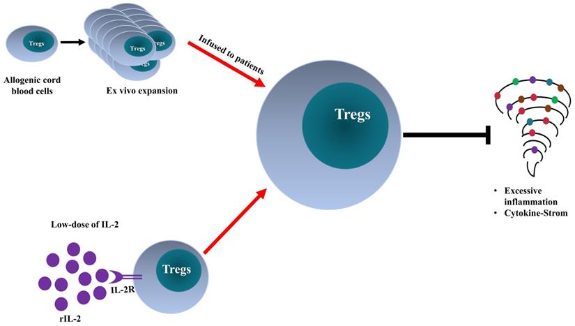 Int J Biol Sci Image