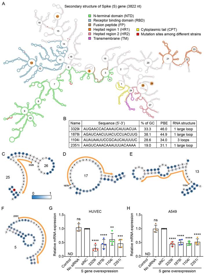 Int J Biol Sci Image