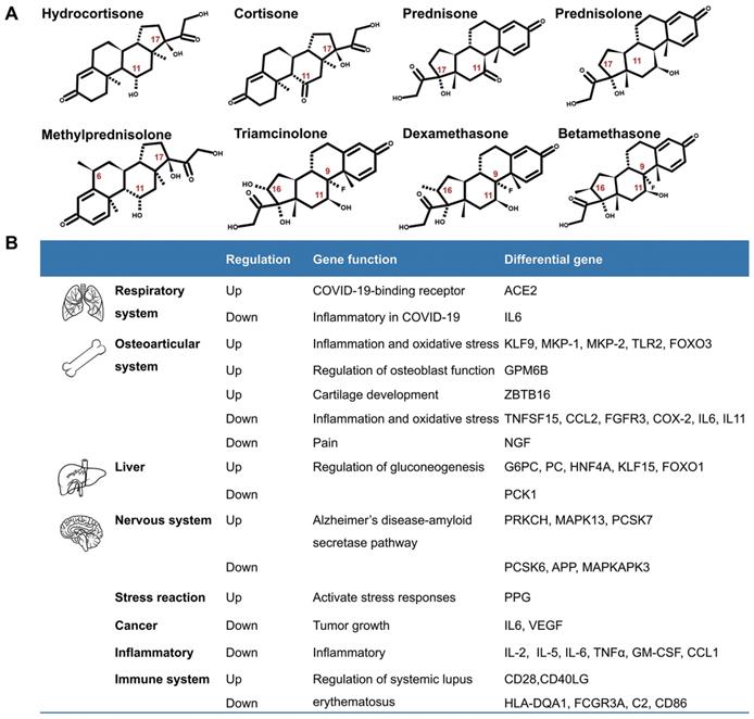 Int J Biol Sci Image