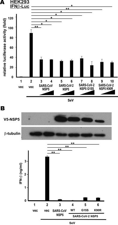 Int J Biol Sci Image