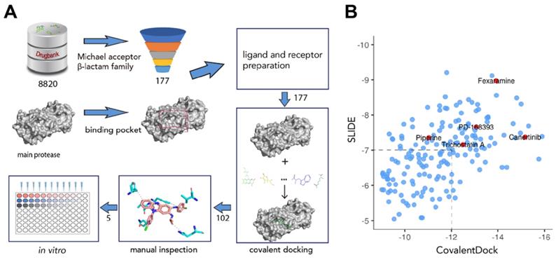 Int J Biol Sci Image