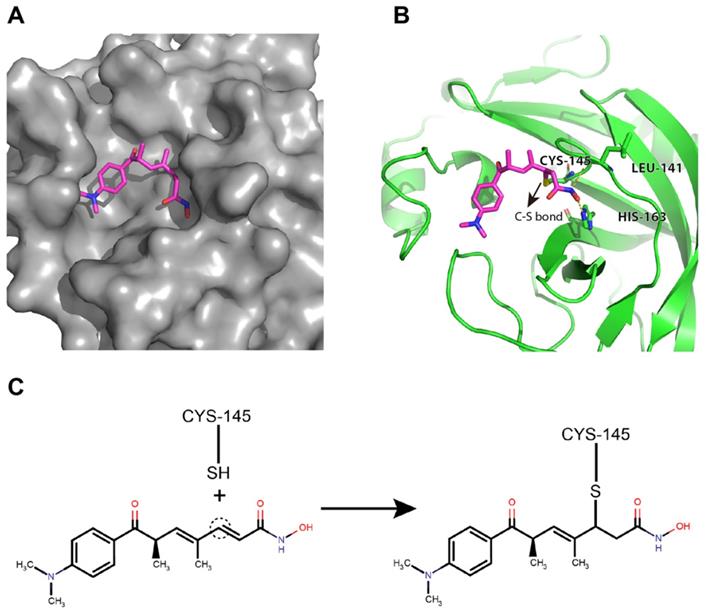 Int J Biol Sci Image