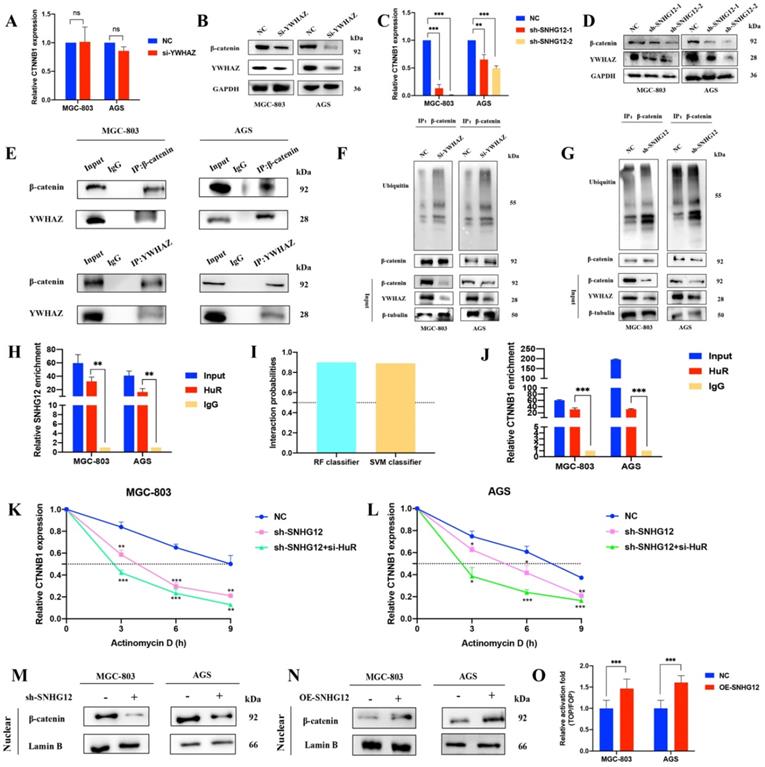 Int J Biol Sci Image