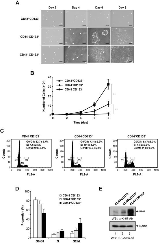 Int J Biol Sci Image