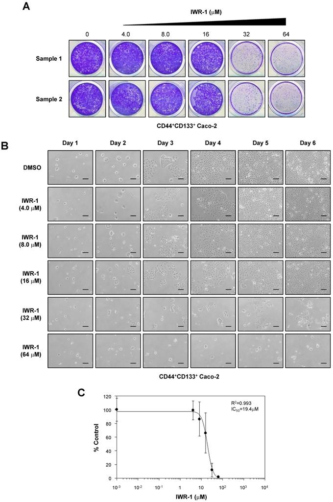 Int J Biol Sci Image