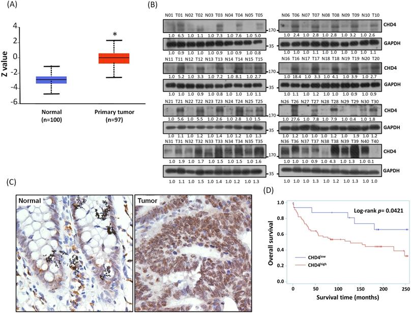 Int J Biol Sci Image