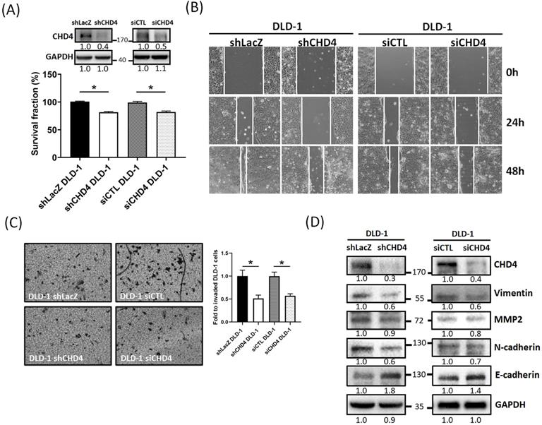 Int J Biol Sci Image