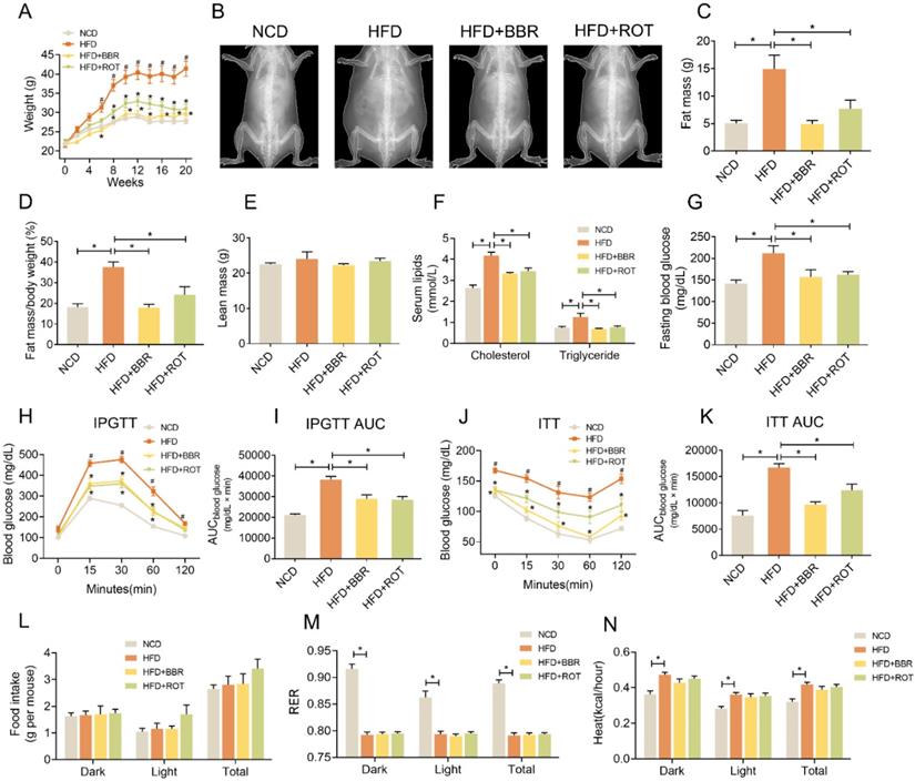 Int J Biol Sci Image