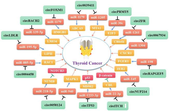 Int J Biol Sci Image