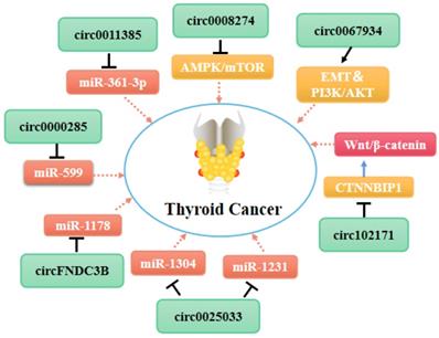 Int J Biol Sci Image