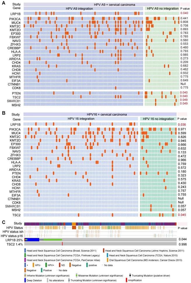 Int J Biol Sci Image