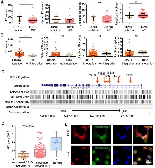 Int J Biol Sci Image