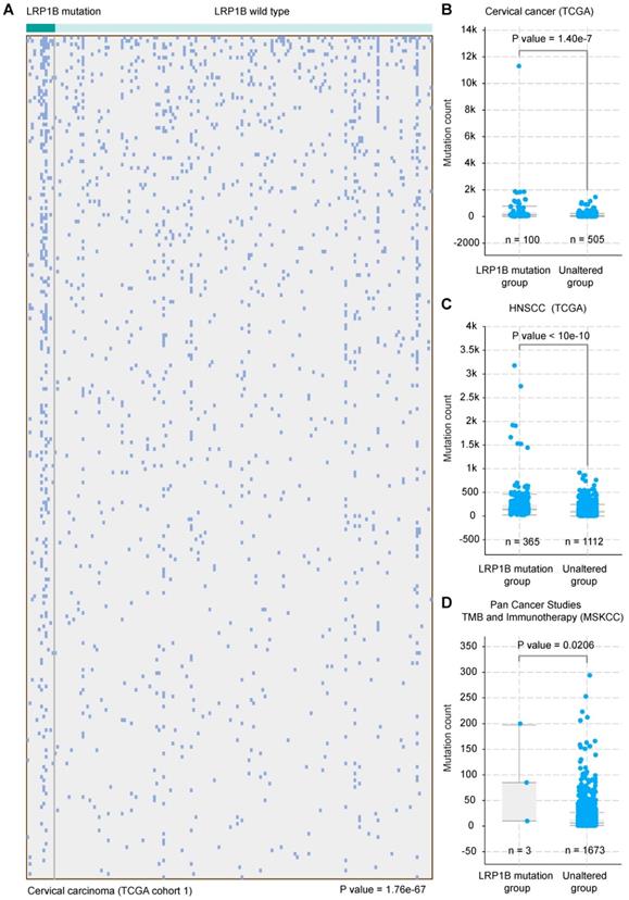 Int J Biol Sci Image