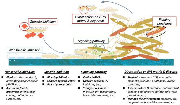 Int J Biol Sci Image