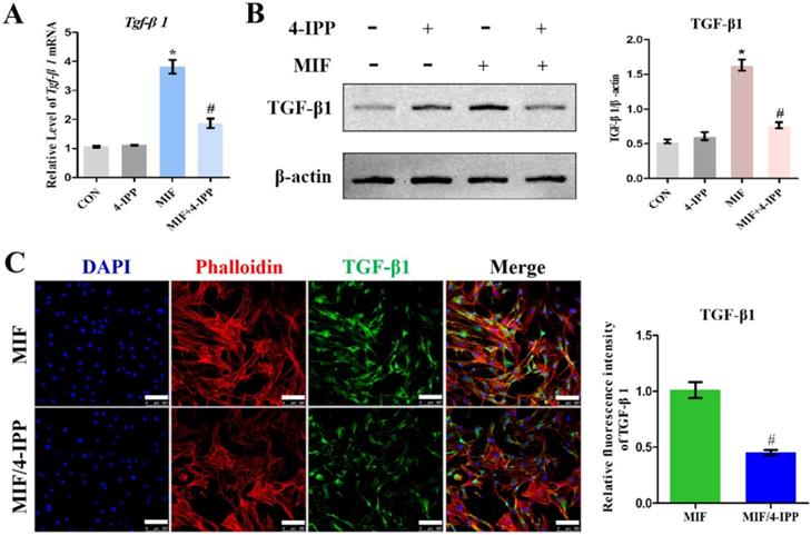 Int J Biol Sci Image