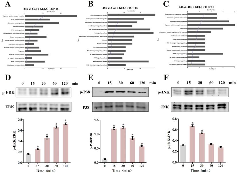 Int J Biol Sci Image