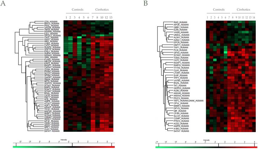 Int J Biol Sci Image