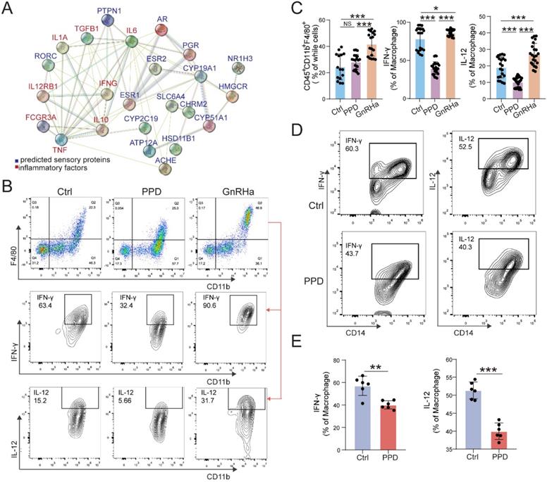 Int J Biol Sci Image