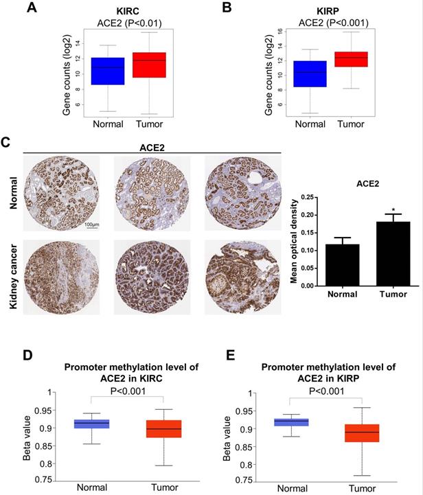 Int J Biol Sci Image