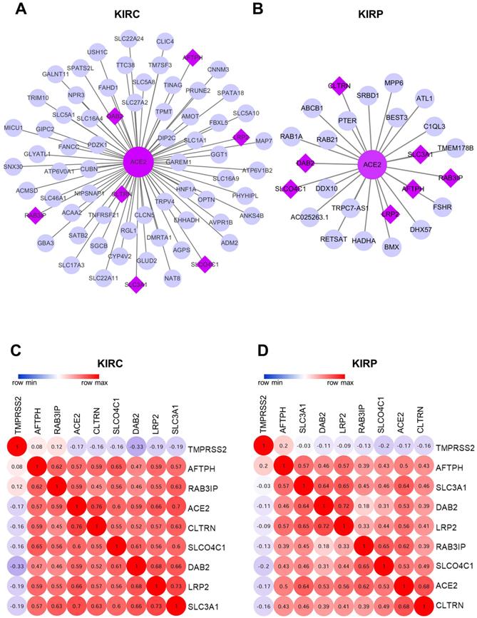 Int J Biol Sci Image