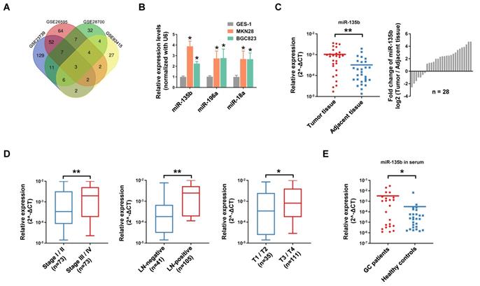 Int J Biol Sci Image