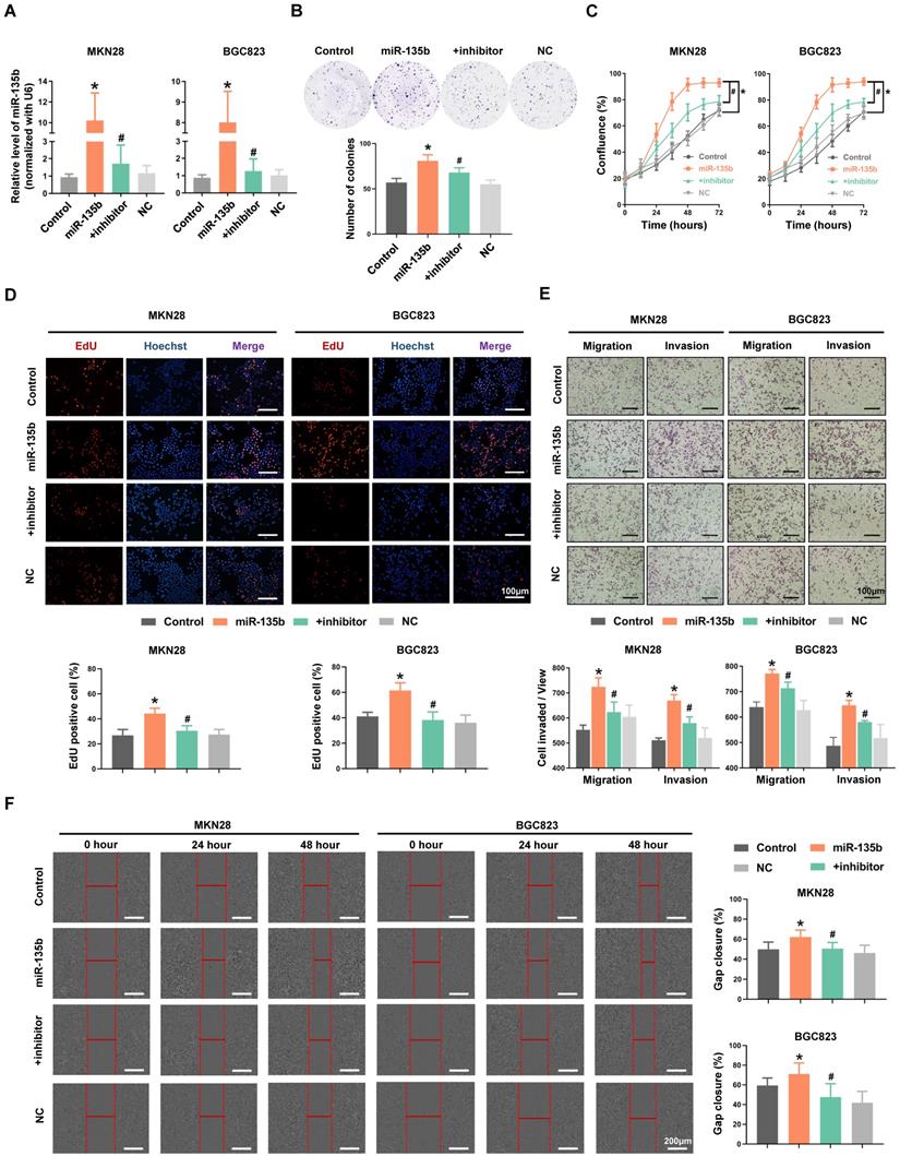 Int J Biol Sci Image