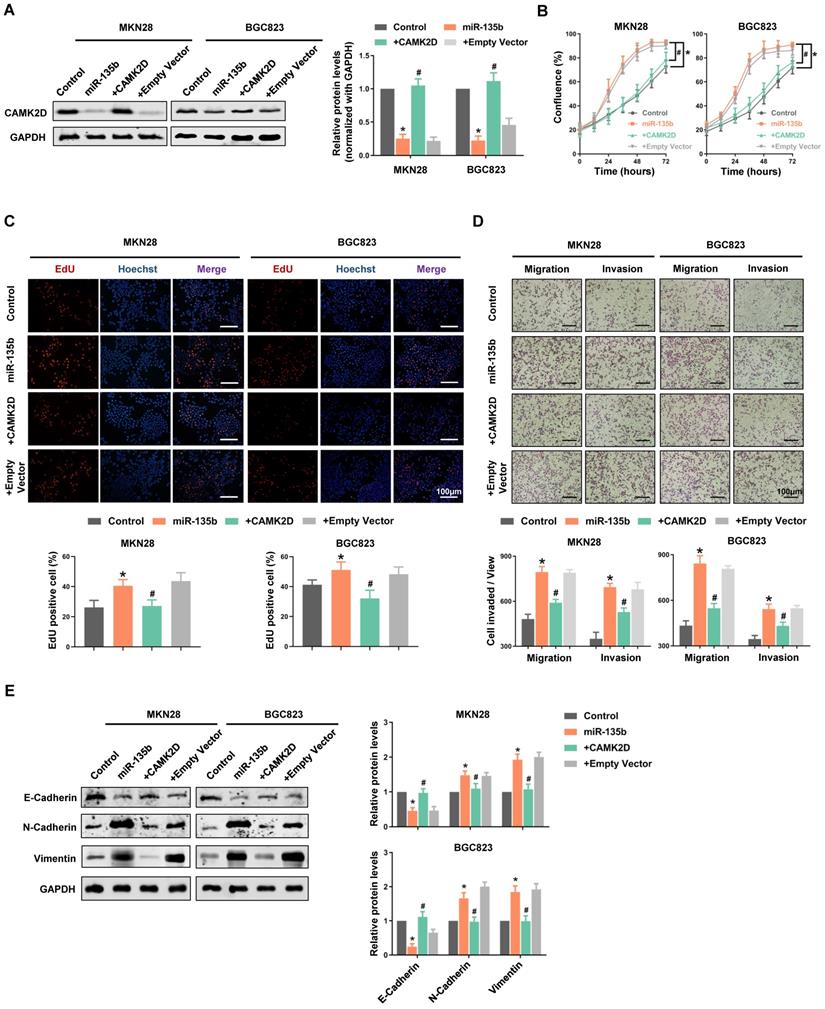 Int J Biol Sci Image