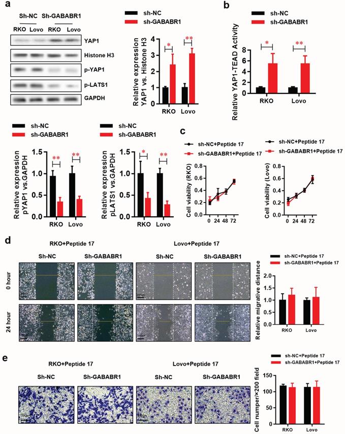 Int J Biol Sci Image