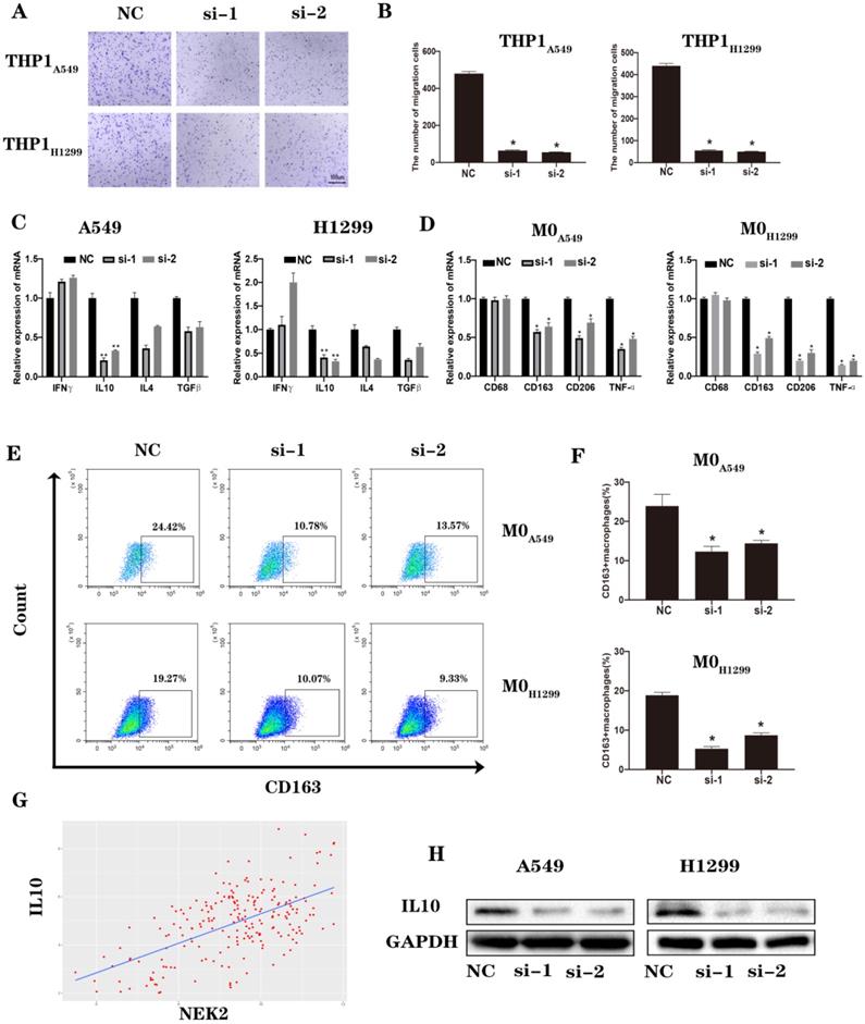 Int J Biol Sci Image