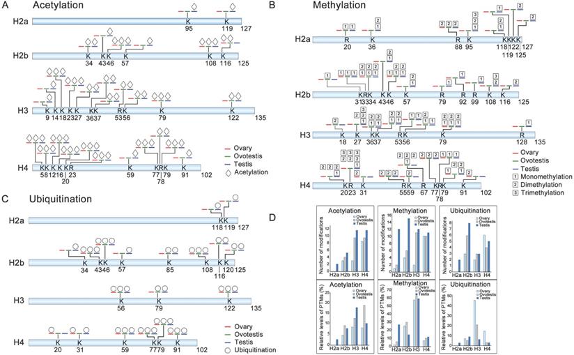 Int J Biol Sci Image