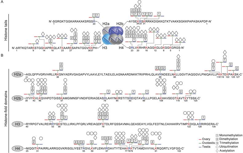 Int J Biol Sci Image