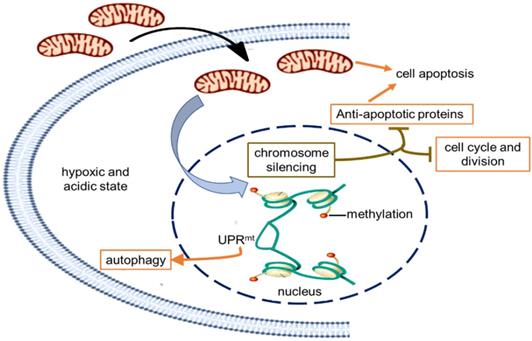 Int J Biol Sci Image