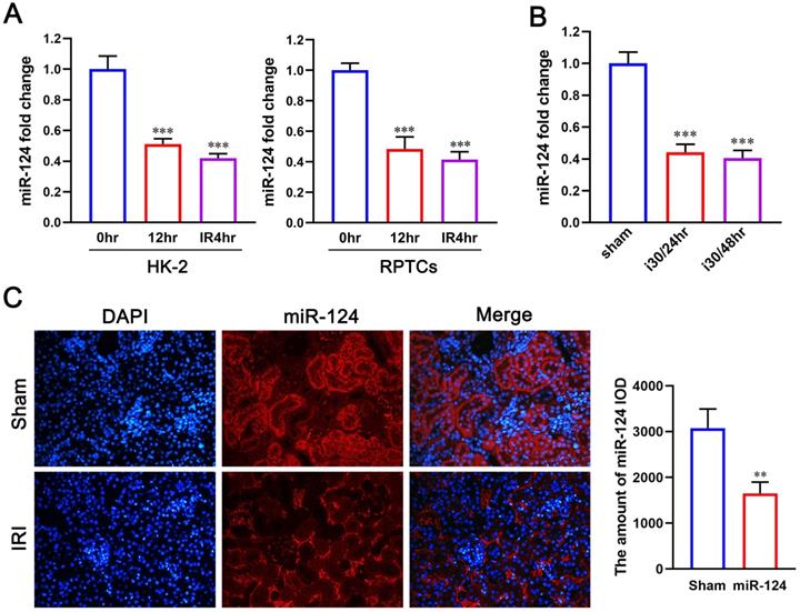 Int J Biol Sci Image