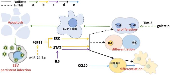 Int J Biol Sci Image