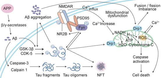 Int J Biol Sci Image