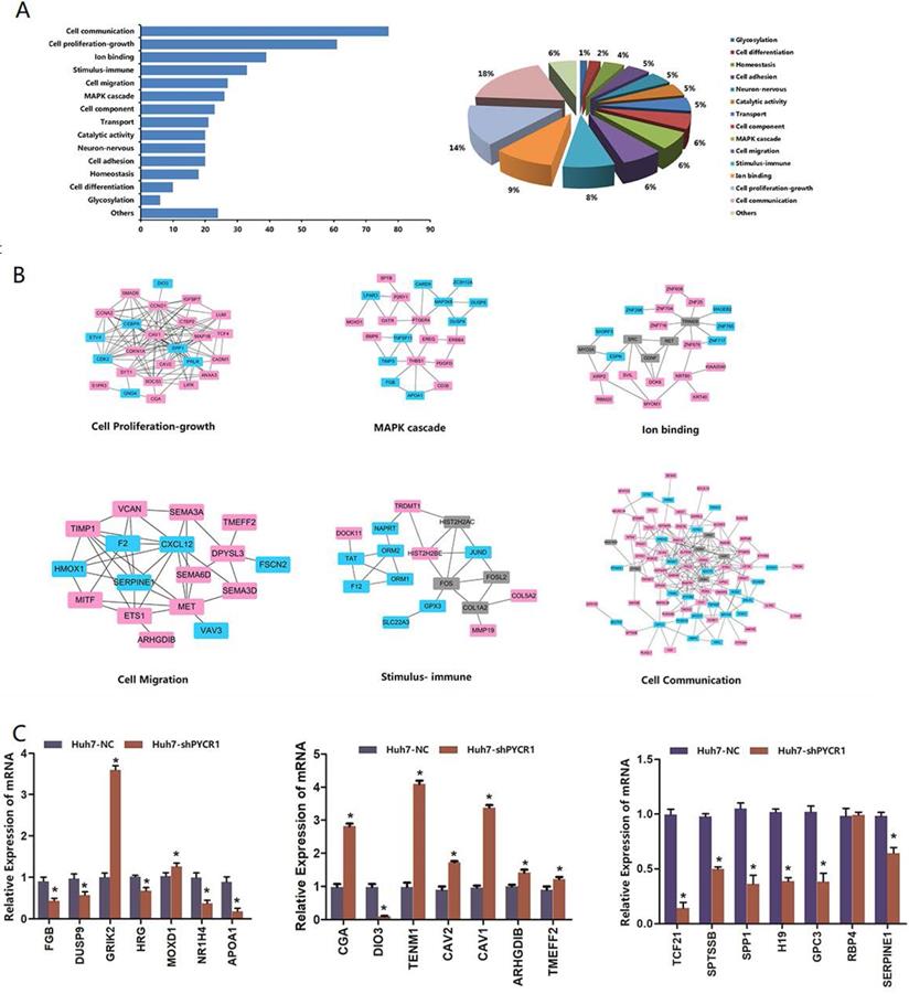 Int J Biol Sci Image