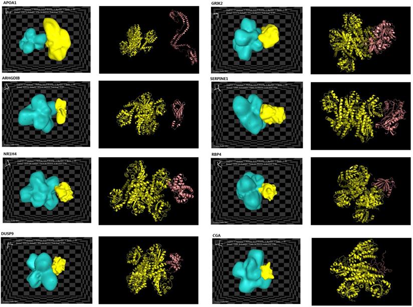 Int J Biol Sci Image