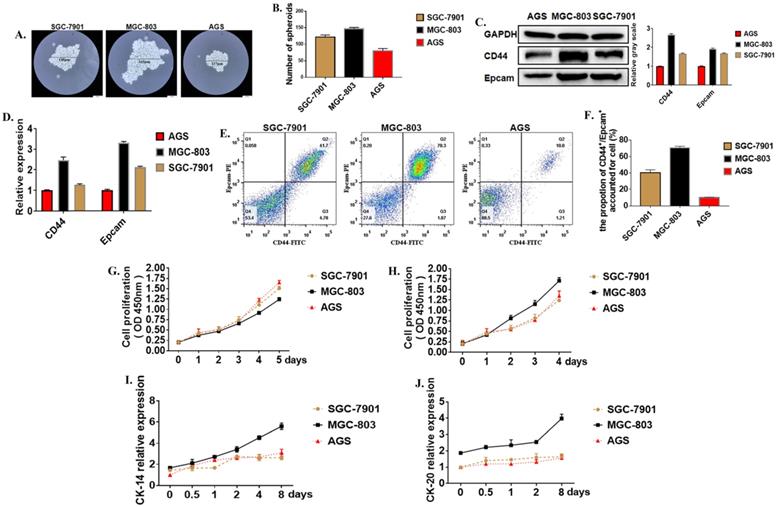 Int J Biol Sci Image