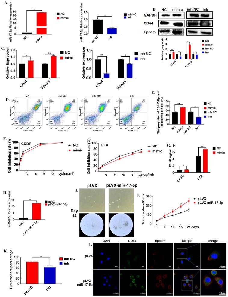 Int J Biol Sci Image