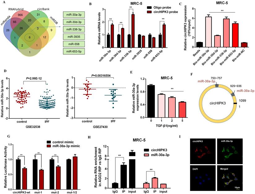 Int J Biol Sci Image