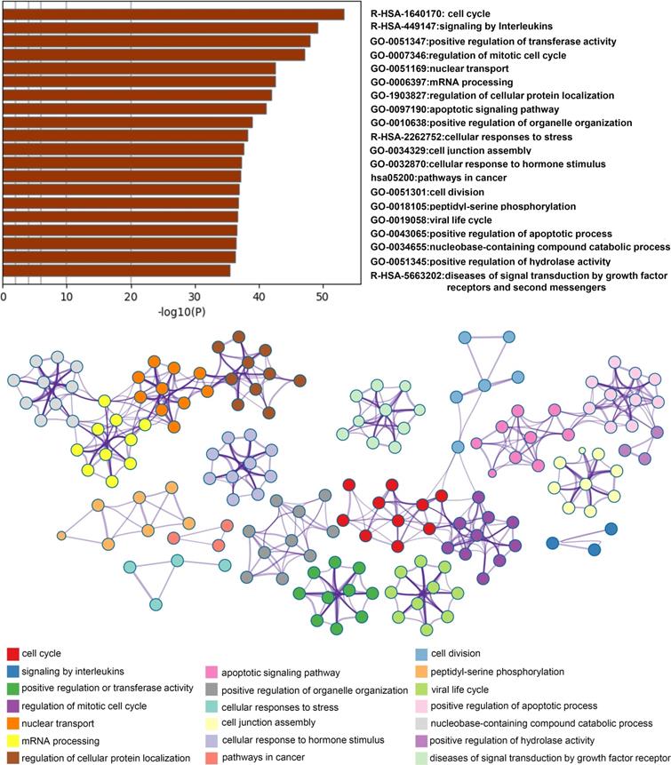 Int J Biol Sci Image