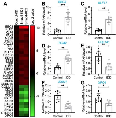 Int J Biol Sci Image