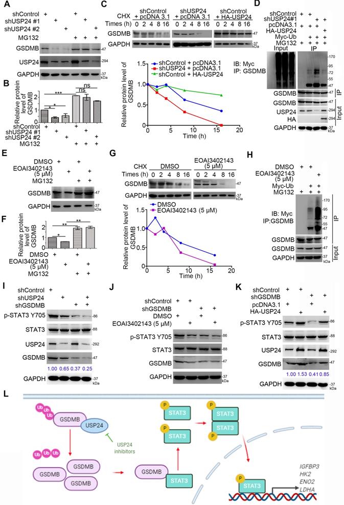 Int J Biol Sci Image