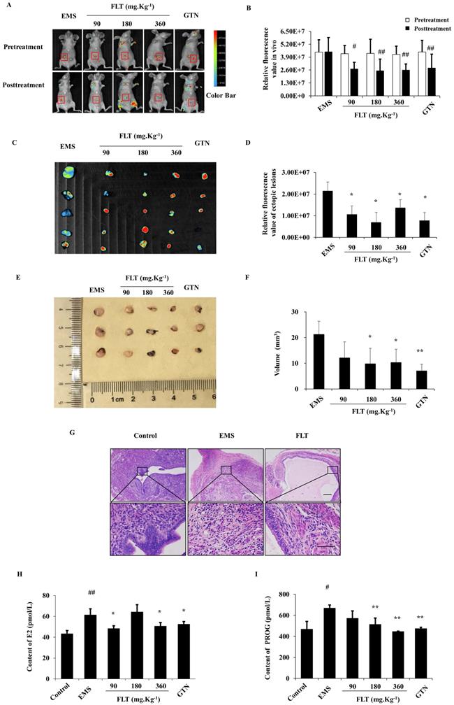 Int J Biol Sci Image