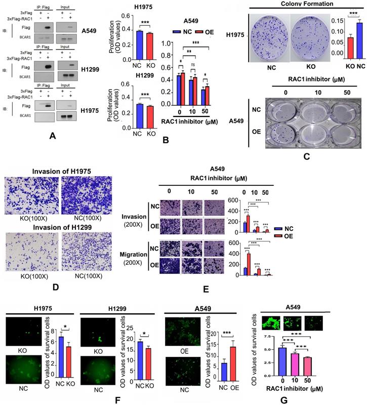 Int J Biol Sci Image