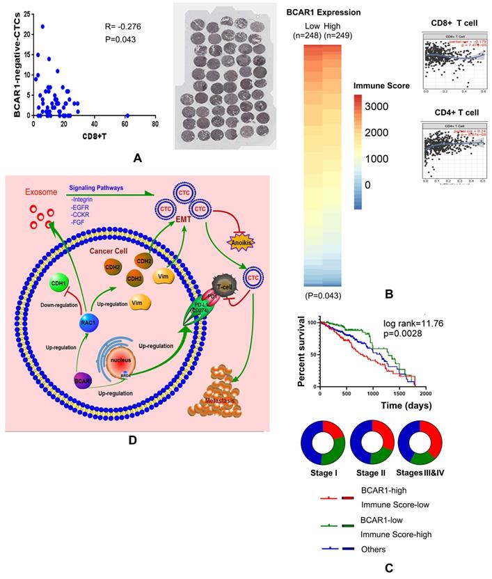 Int J Biol Sci Image